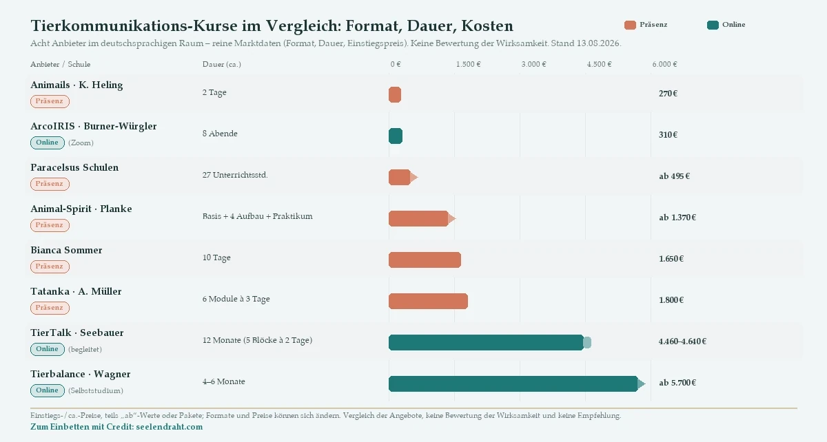 Vergleichsmatrix von acht Tierkommunikations-Kurs-Anbietern im deutschsprachigen Raum, nach Einstiegspreis sortiert, mit Format (Präsenz oder Online), Dauer und Kosten: Animails (Präsenz, 2 Tage, 270 €), ArcoIRIS (Online/Zoom, 8 Abende, 310 €), Paracelsus (Präsenz, 27 Unterrichtsstunden, ab 495 €), Animal-Spirit/Planke (Präsenz, Basis plus 4 Aufbauseminare und Praktikum, ab 1.370 €), Bianca Sommer (Präsenz, 10 Tage, 1.650 €), Tatanka (Präsenz, 6 Module à 3 Tage, 1.800 €), TierTalk (Online begleitet, 12 Monate, 4.460–4.640 €), Tierbalance (Online Selbststudium, 4–6 Monate, ab 5.700 €). Reine Marktdaten, keine Bewertung der Wirksamkeit.